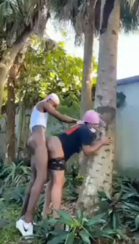 Black Girl With Big Ass Fucked In The Backyard In Public (18+)