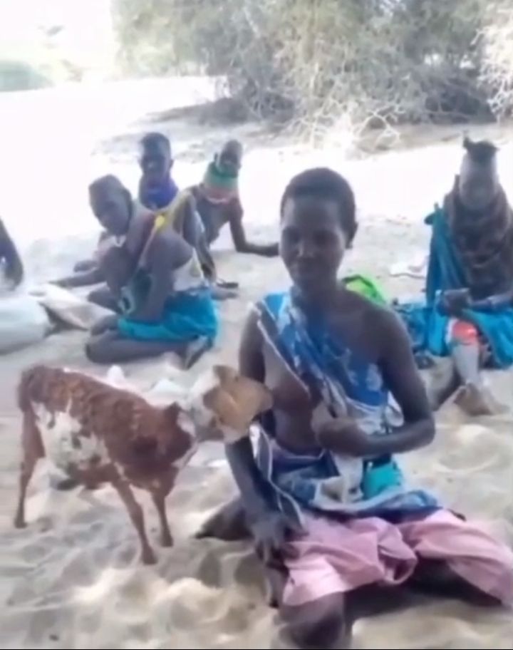 African Girl With Naked Breasts Feeding A Goat In Public (18+)